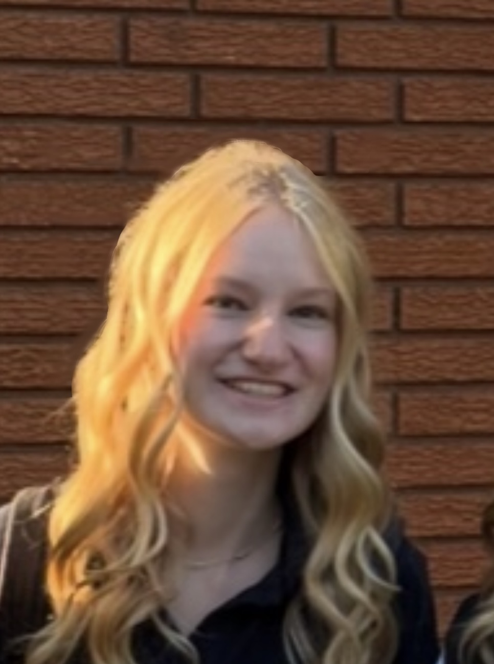 Brooklin Dreise